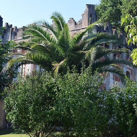 La Tuilerie 1860 Bed and Breakfast Biaudos Buitenkant foto